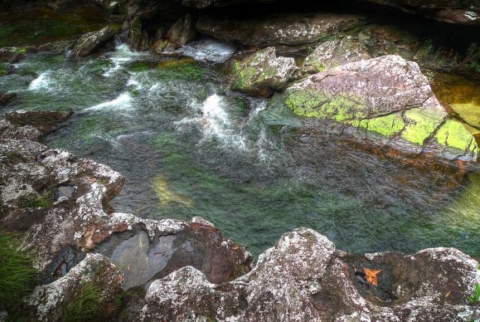 Cano Cristales aka The River of Five Colors