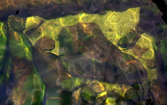 Cano Cristales aka The River of Five Colors