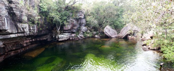 Cano Cristales aka The River of Five Colors