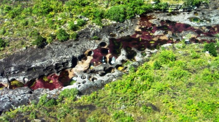 Cano Cristales aka The River of Five Colors