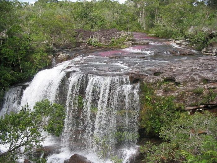 Cano Cristales aka The River of Five Colors