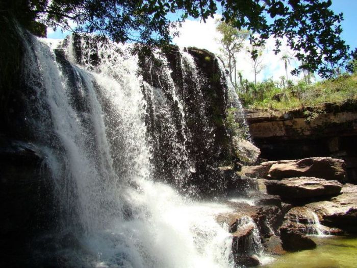 Cano Cristales aka The River of Five Colors