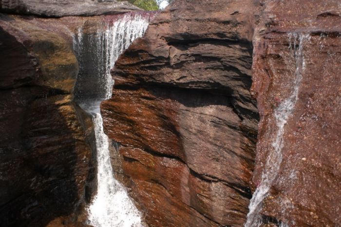 Cano Cristales aka The River of Five Colors