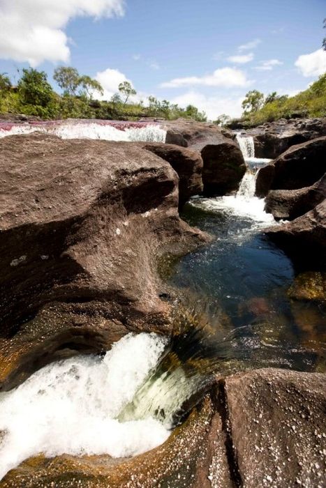 Cano Cristales aka The River of Five Colors