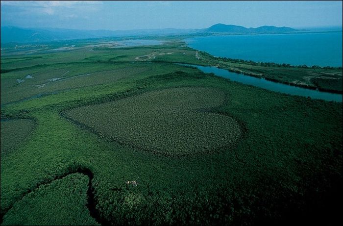 Amazing Photos From The Bird's Eye View