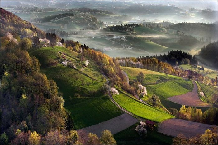 Amazing Photos From The Bird's Eye View