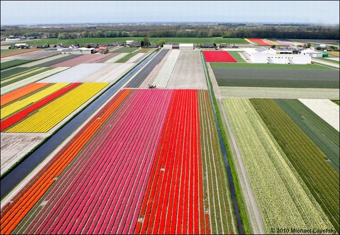 Amazing Photos From The Bird's Eye View