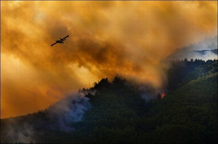 Amazing Photos From The Bird's Eye View