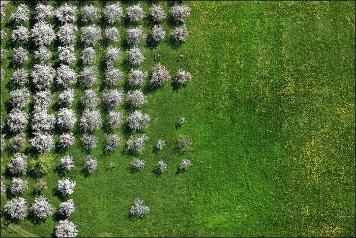 Amazing Photos From The Bird's Eye View