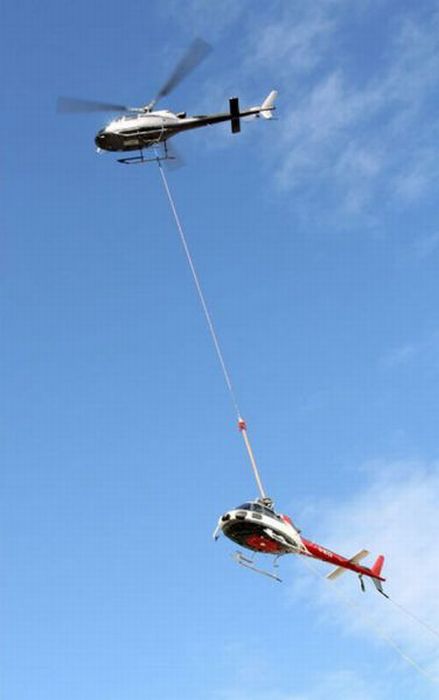 McFly's Daily Photo Flop