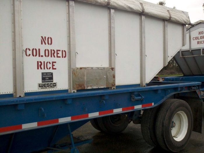 McFly's Daily Photo Flop