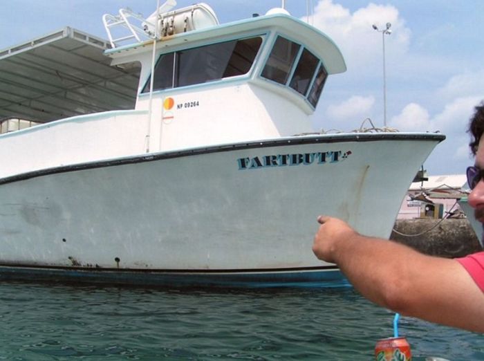 McFly's Daily Photo Flop