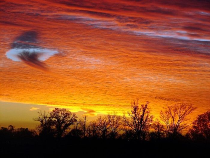 Fallstreak holes are a cloud formation that occurs as gaps in mid or high level cloud layers below them trails of ice crystals dangle.Location unknown