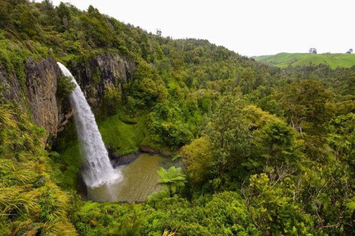 Waikatos Bridal Veil Falls  New Zealand