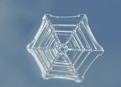 A snowflake forms