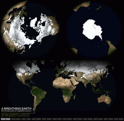 Earths ice and vegetation cycle over a year