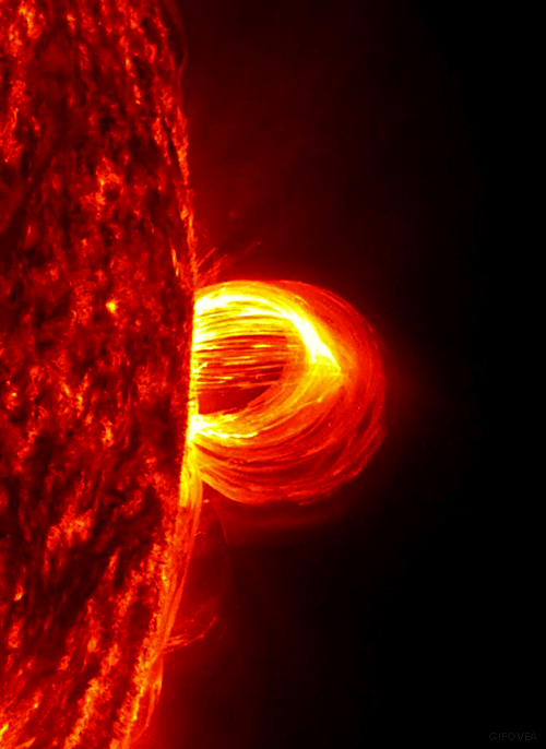 A loop of plasma four times the size of the Earth erupts from the Sun