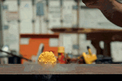 A carnation frozen in liquid nitrogen is hit by a hammer