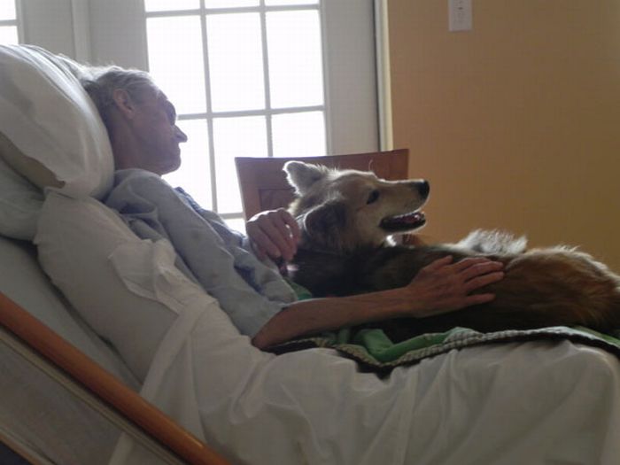 Dying Man's Final Wish