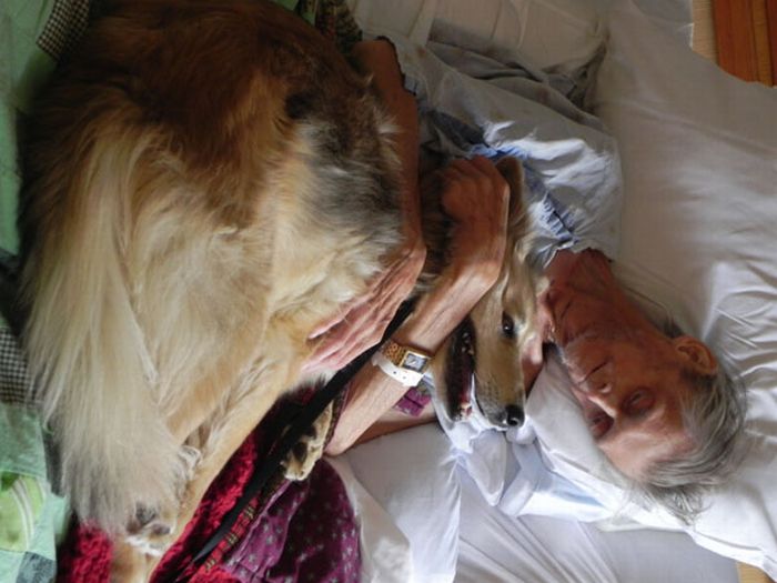 Dying Man's Final Wish