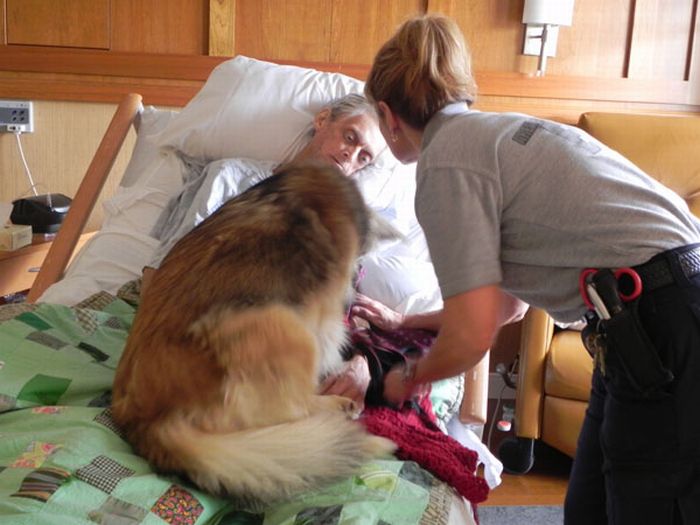 Dying Man's Final Wish