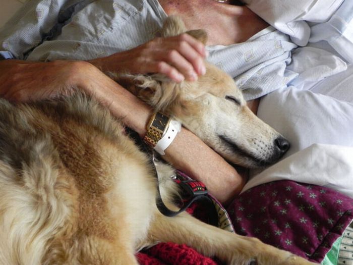 Dying Man's Final Wish