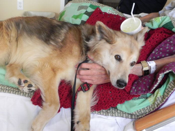 Dying Man's Final Wish