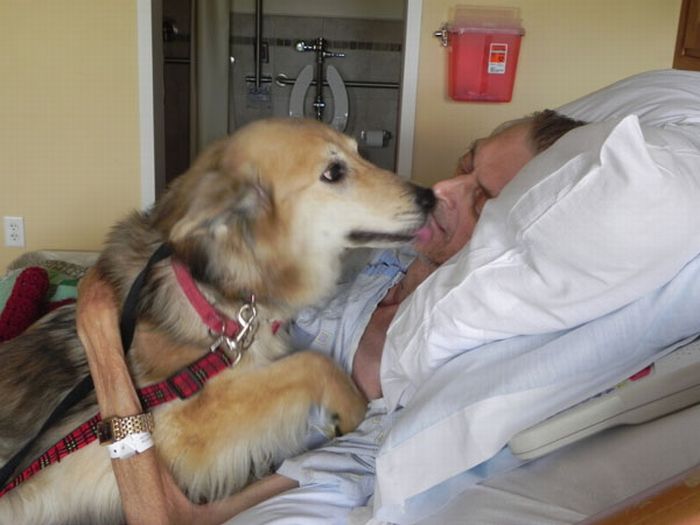 Dying Man's Final Wish