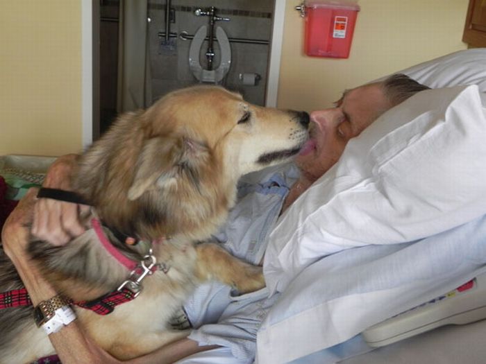 Dying Man's Final Wish