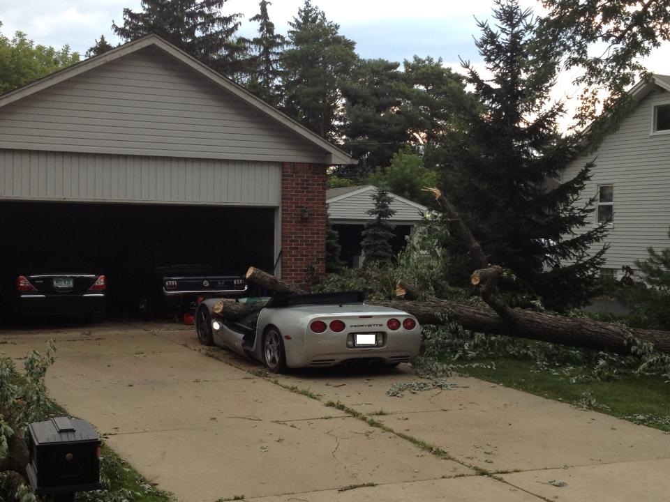 A Gallery Of Destruction