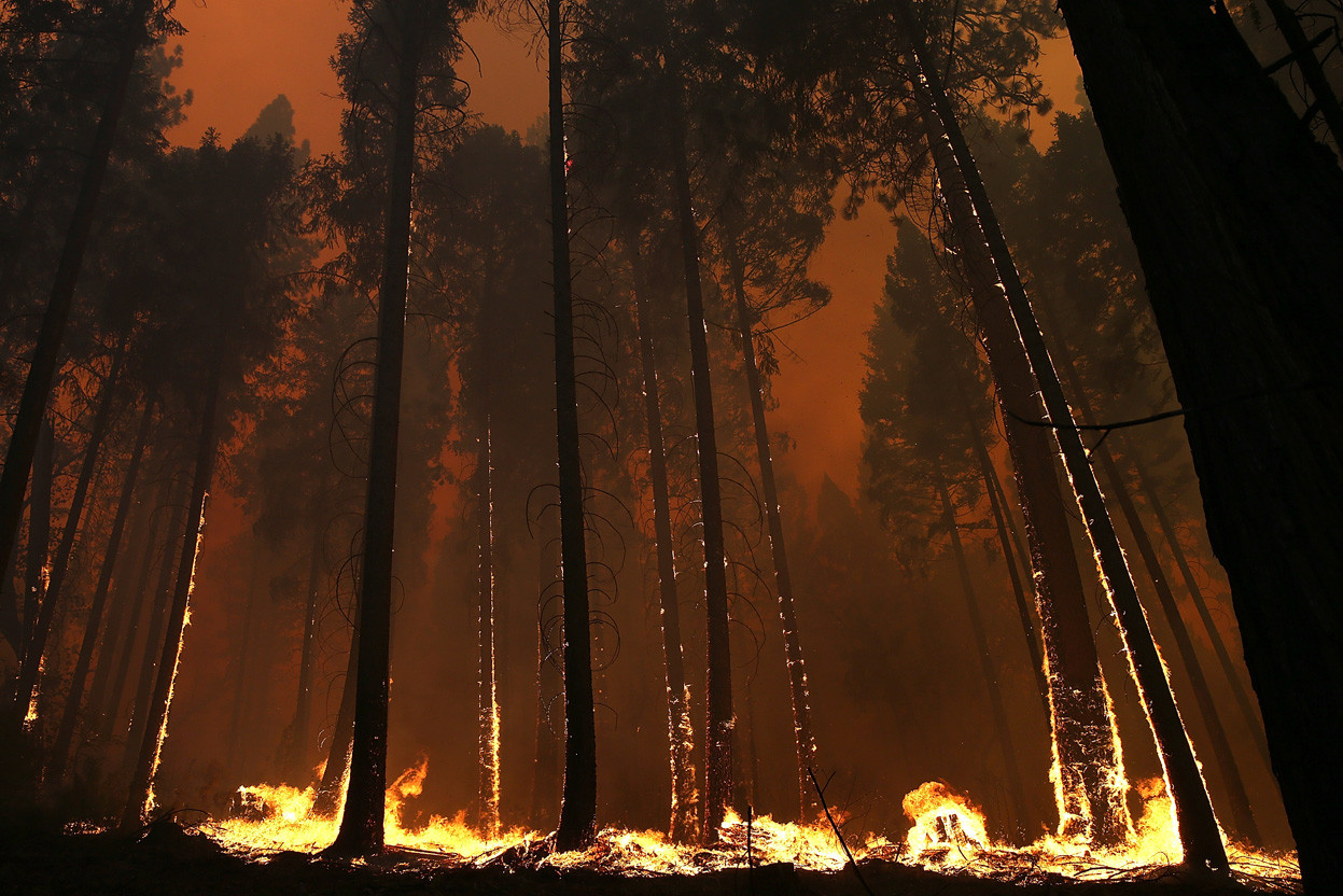 A Gallery Of Destruction