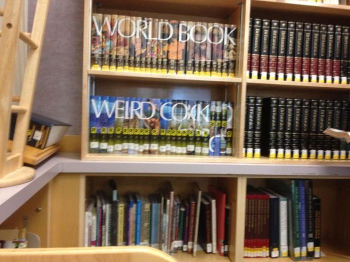 McFly's Daily Photo Flop