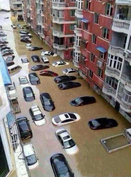 McFly's Daily Photo Flop