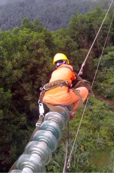 McFly's Daily Photo Flop