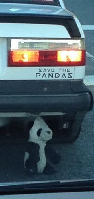 Ironic Contradictions