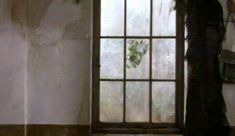 McFly's Daily Gif Flop