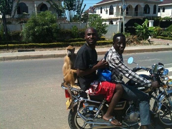 McFly's Daily Photo Flop