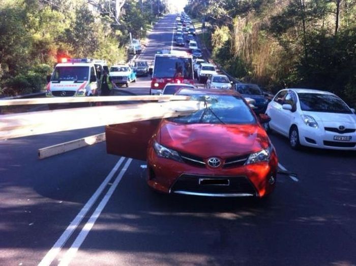 McFly's Daily Photo Flop