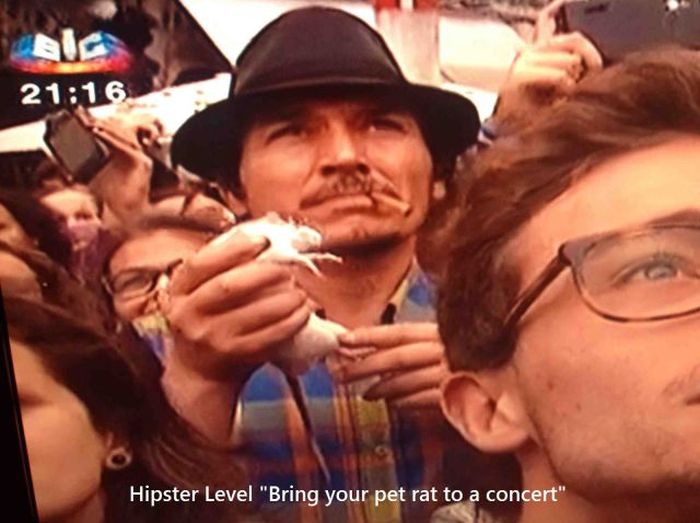 McFly's Daily Photo Flop