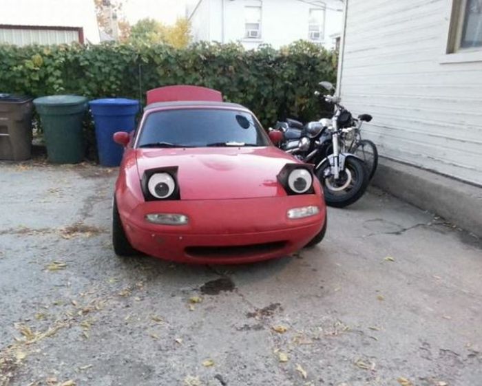 McFly's Daily Photo Flop