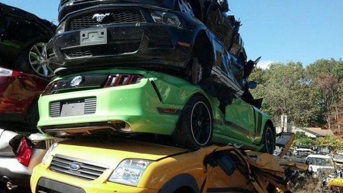 McFly's Daily Photo Flop