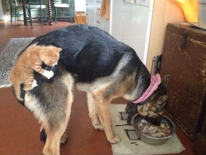 McFly's Daily Photo Flop