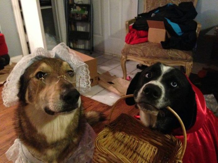 McFly's Daily Photo Flop