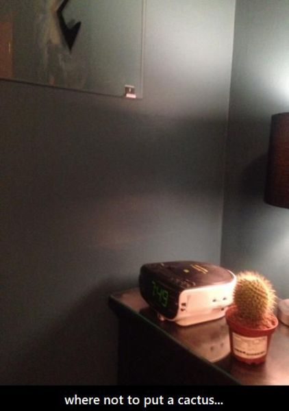 McFly's Daily Photo Flop