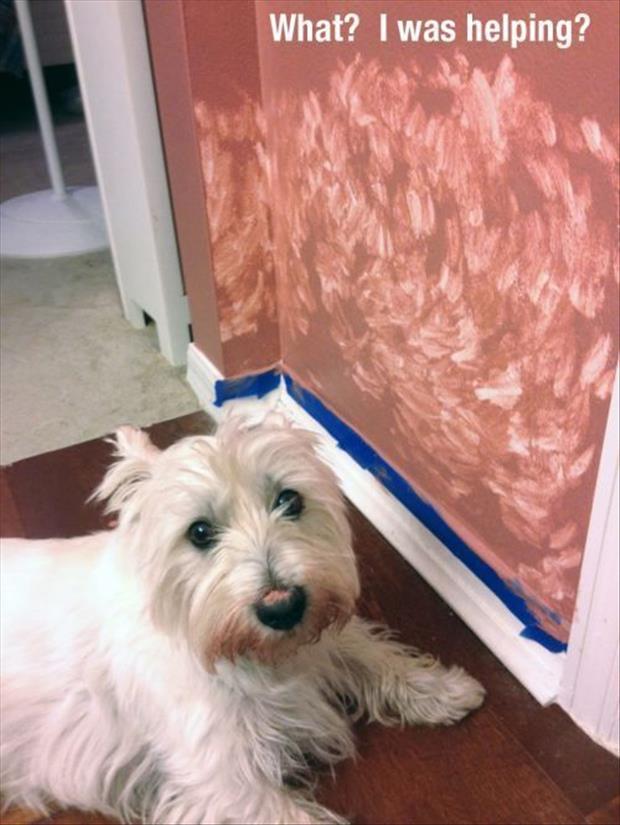 McFly's Daily Photo Flop