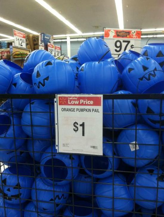 blue pumpkin pail - 797 Low Price Orange Pumpkin Pail
