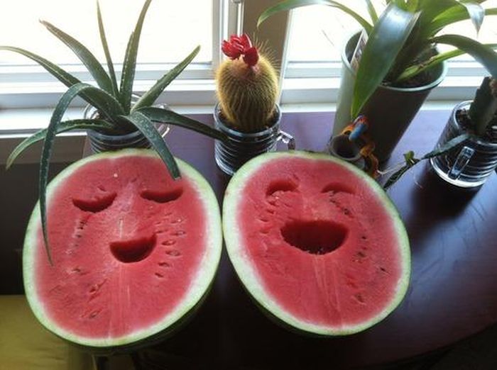 watermelon aesthetic