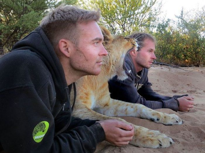 McFly's Daily Photo Flop