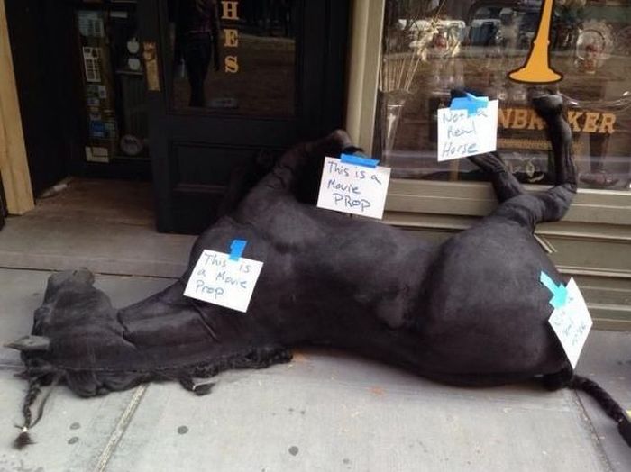 McFly's Daily Photo Flop