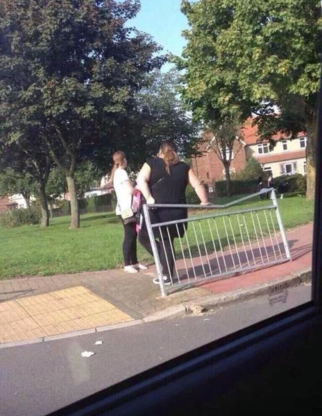 McFly's Daily Photo Flop